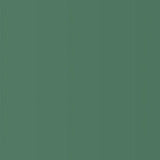 FOAM BOARD GREEN 20" X 30"