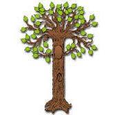 BULLETIN BOARD SET BIG TREE