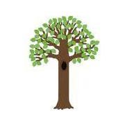 BIG TREE WITH POLKA DOT LEAVES