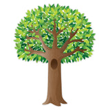 JUMBO TREE (APPLE TIME) BULLETIN BOARD 10 PCS