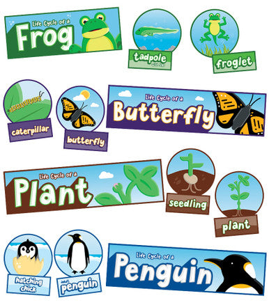 LIFE CYCLES BULLETIN BOARD SET