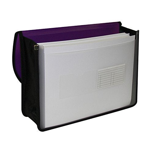 DOCUMENT CASE X-LARGE LTR ASST HOLD 500-PG