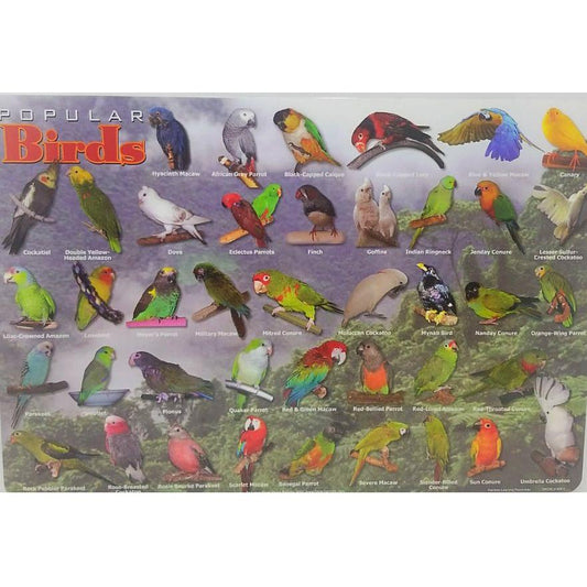 PET BIRDS PLACEMAT 17.5''X12''