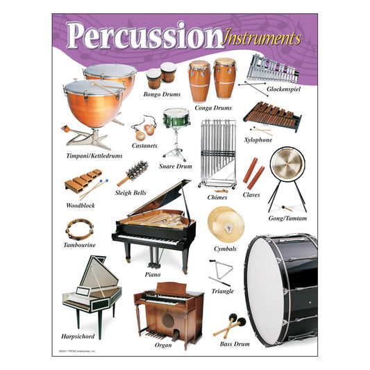 PERCUSSION INSTRUMENTS LEARNING CHART 17X22''