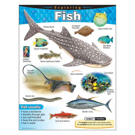 EXPLORING FISH LEARNING CHART