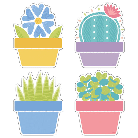 GARDEN PLANTS CLASSIC ACCENTS