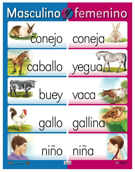 Cartel Masculino y Femenino