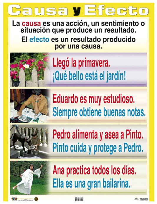 Cartel Causa y Efecto