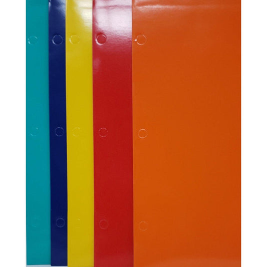 PORTFOLIO GLOSSY 12.5" X 9.5" ASSORTED COLOR