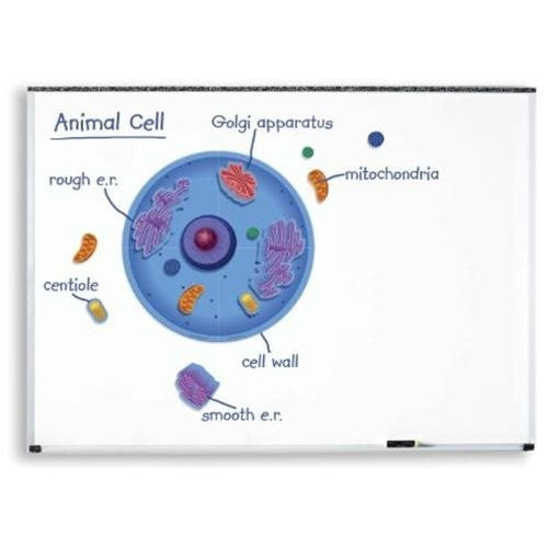 GIANT MAGNETIC ANIMAL CELL