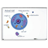 GIANT MAGNETIC ANIMAL CELL