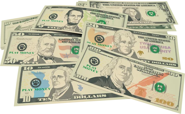PLAY MONEY: ASSORTED BILLS 110 BILLS