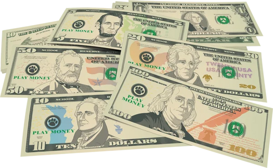 PLAY MONEY: ASSORTED BILLS 110 BILLS