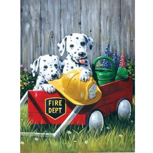 PAINTING BY NUMBERS FIRE WAGGING 10 PC