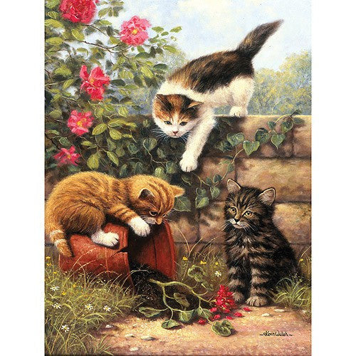 PAINTING BY NUMBERS KITTENS AT PLAY 10 PC