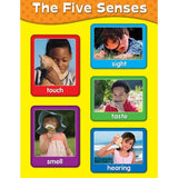 THE FIVE SENSES CHART