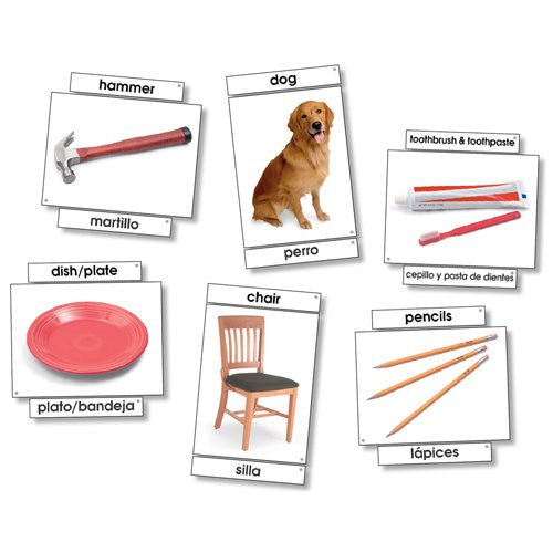 LANGUANGE CARDS BASIC