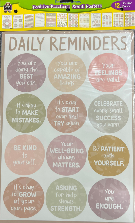 TERRAZZO TONES POSITIVE PRACTICES SMALL POSTER PK