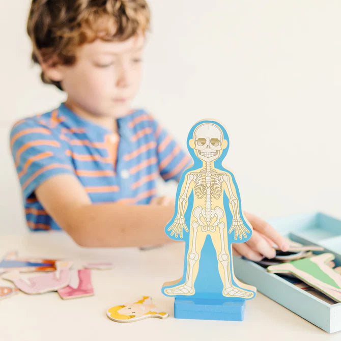 Magnetic Human Body Play Set
