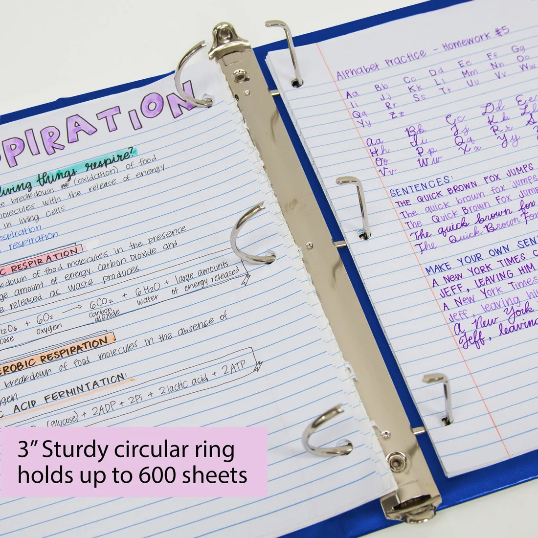 View D-Ring Binder 3" Blue