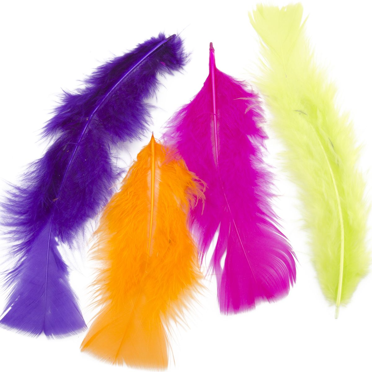 Zucker Turkey Flat Feathers | 36Pkg
