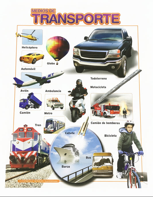 CARTEL MEDIOS DE TRANSPORTE
