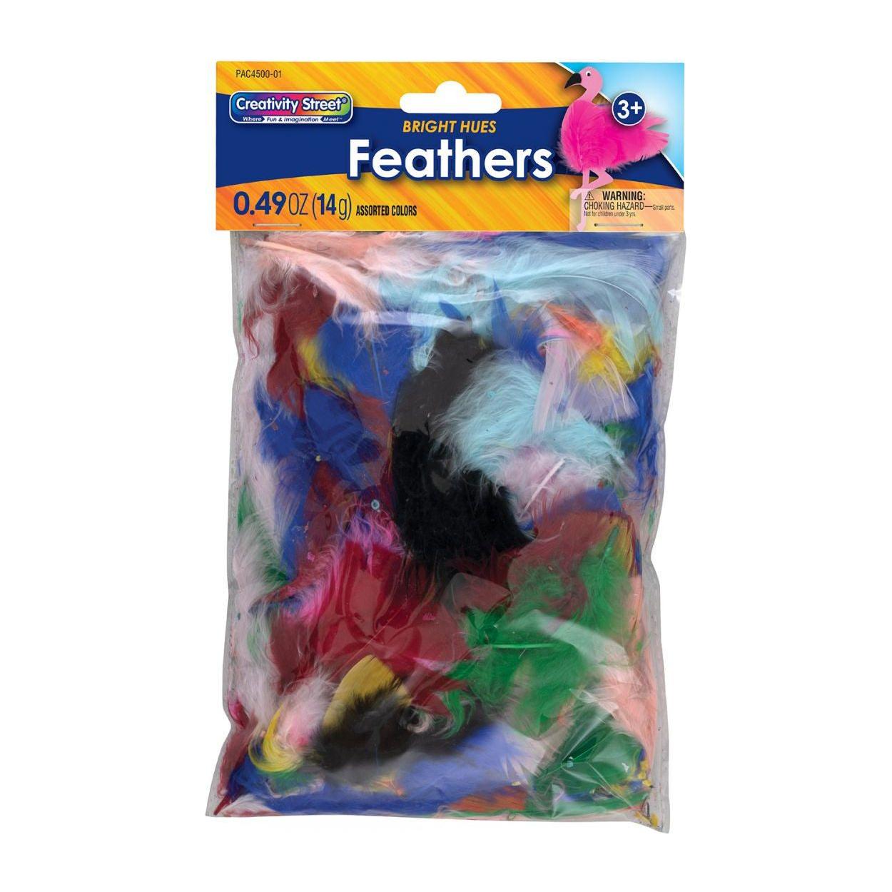 CREATIVITY STREET TURKEY PLUMAGE ASSORTED