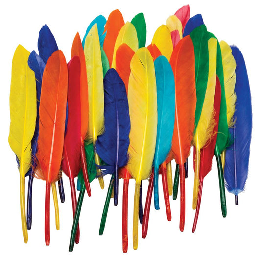 CREATIVITY STREET FEATHERS DUCK QUILLS ASSORTED