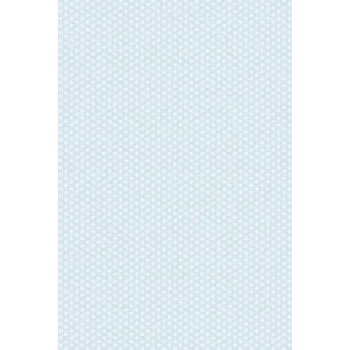 PHOTO BACKDROP DOTS BLUE