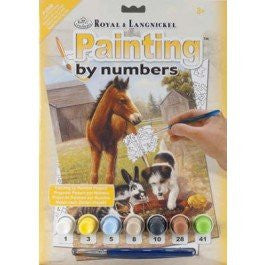 PAINTING BY NUMBERS JUNGLE TOUCAN 10 PC