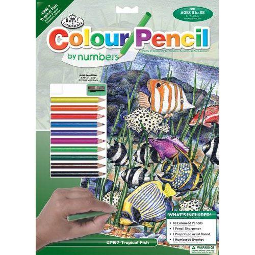 COLOUR PENCIL BY NUMBER TROPICAL FISH 12 PC
