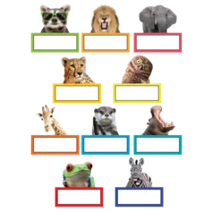 GO WILD ANIMALS ACCENTS