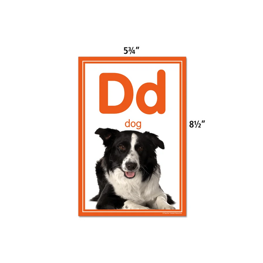 COLORFUL PHOTO ALPHABET CARDS BULLETIN BOARD 40PCS