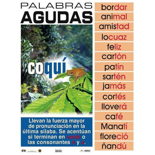 CARTEL PALABRAS AGUDAS