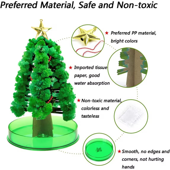 Grow a Christmas Tree