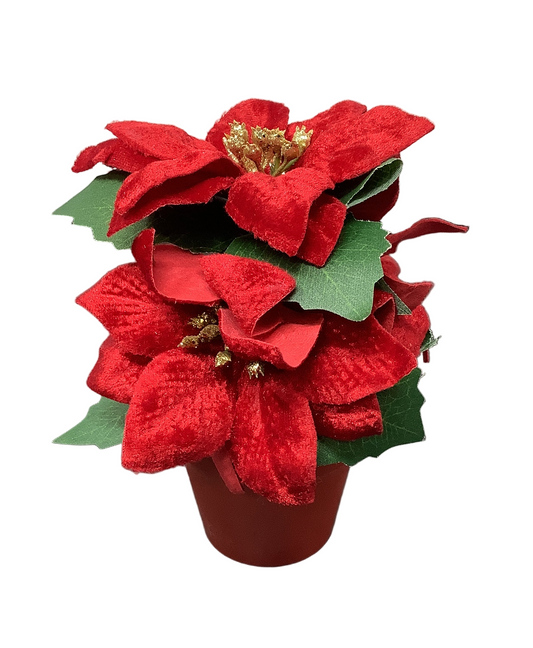 POINSETTIA POT VELVET 3 FLOWERS