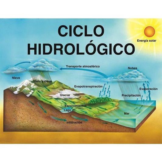 CARTEL CICLO HIDROLÓGICO