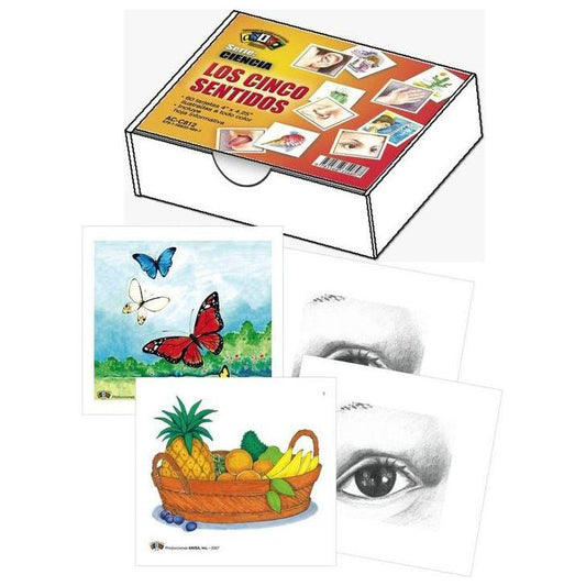 LOS CINCO SENTIDOS BOX #AC-C812