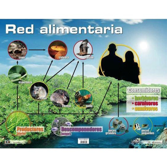 CARTEL RED ALIMENTARIA