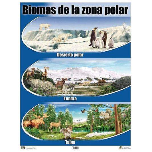 CARTEL BIOMAS DE LA ZONA POLAR