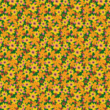PATTERNED PAPER BLOOM BIGTIME SINGLE 12X12