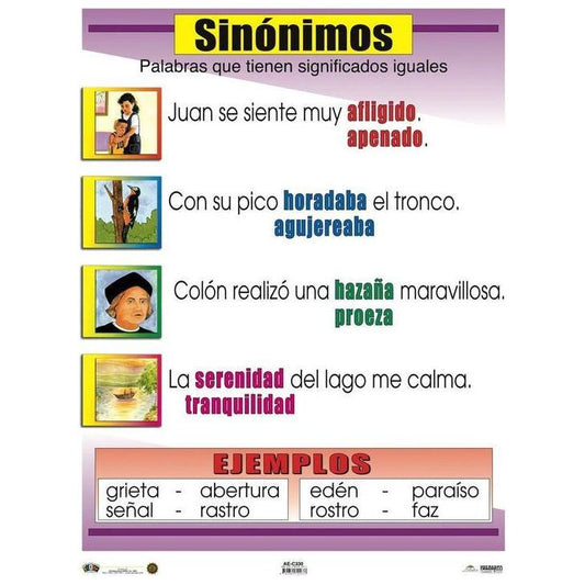 CARTEL SINÓNIMOS