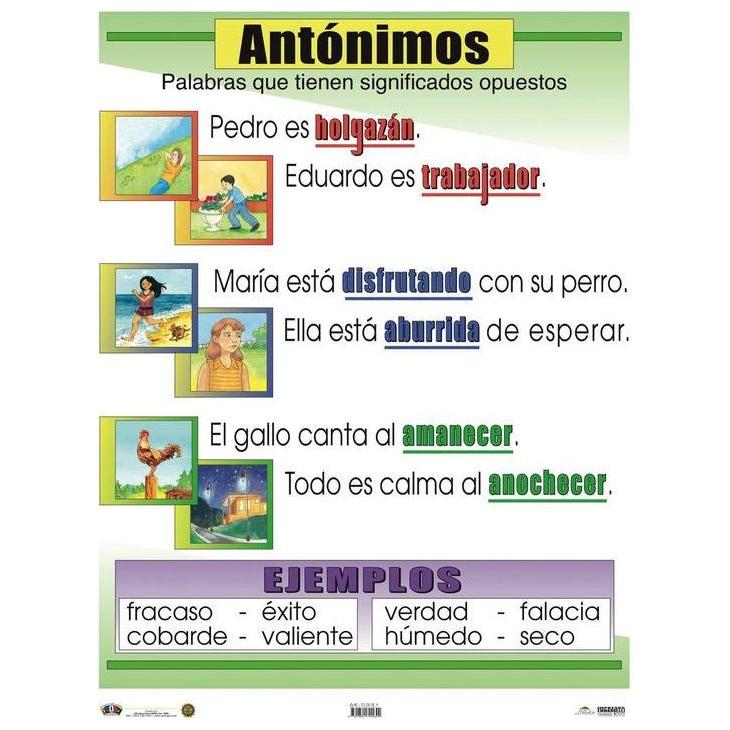 CARTEL ANTÓNIMOS