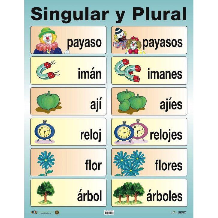 CARTEL SINGULAR Y PLURAL