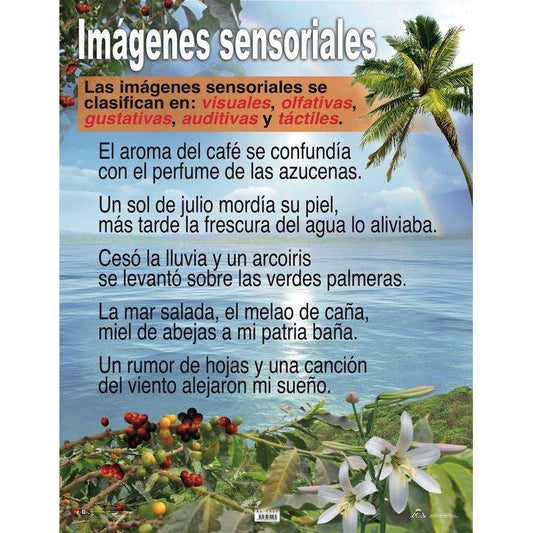 CARTEL IMAGENES SENSORIALES