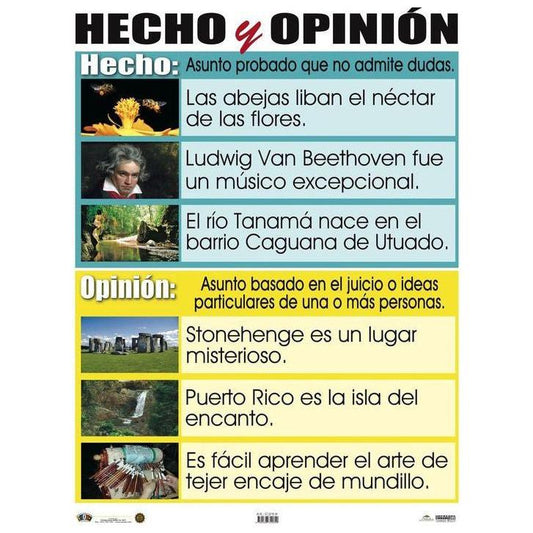 CARTEL HECHO Y OPINIÓN