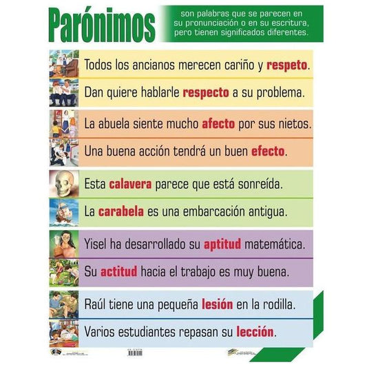 CARTEL PARÓNIMOS