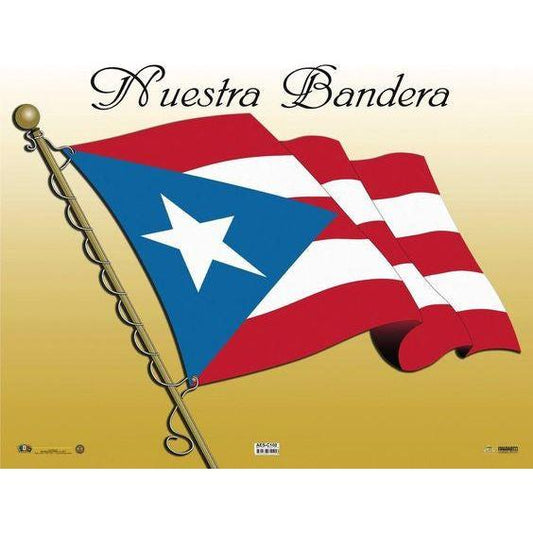 CARTEL BANDERA DE P.R.