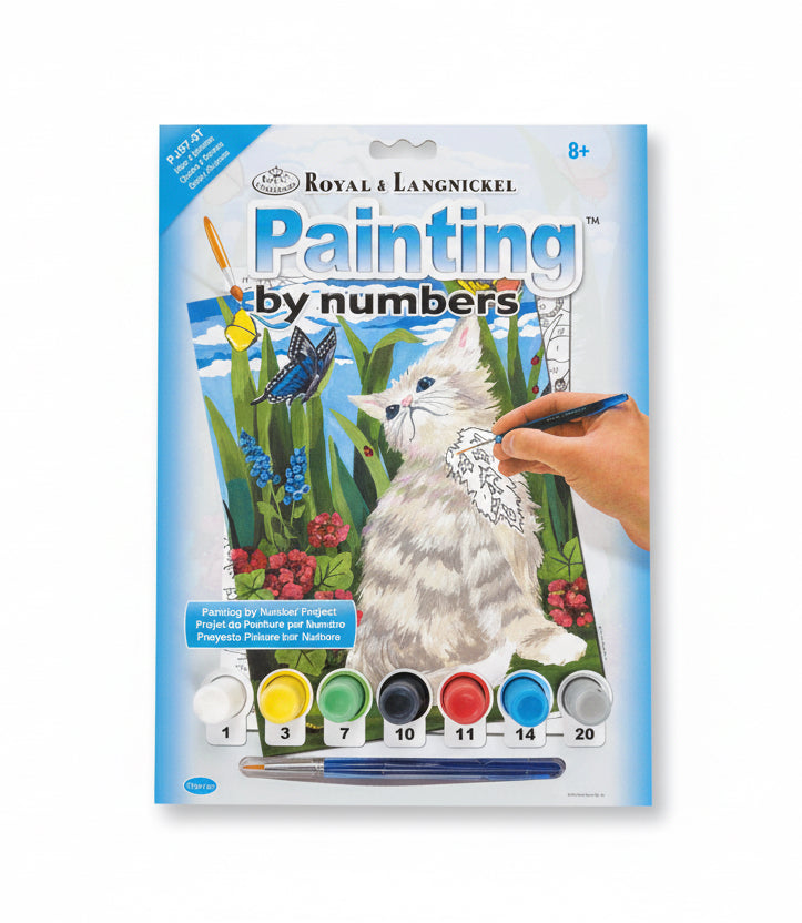 Painting by numbers Kitten & butterfly’s