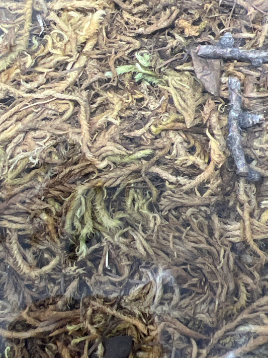 0.5 Oz - Spanish Dry Moss